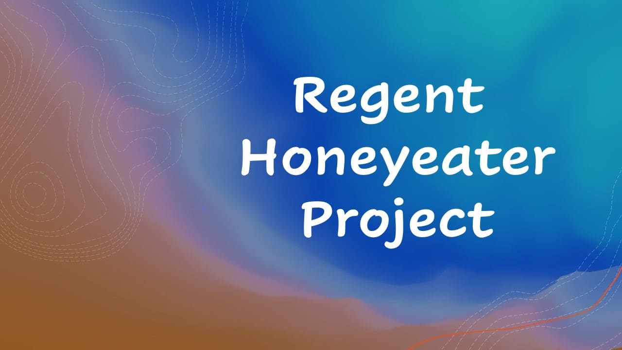 Regent Honeyeater Project